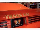 Thumbnail Photo 37 for 1976 Pontiac Firebird Trans Am
